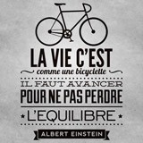 Vinilos Decorativos: La vie c'est comme une bicyclette 3