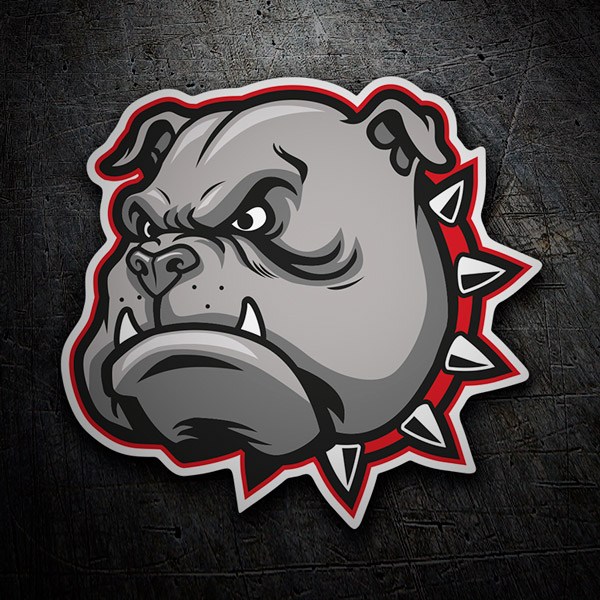 Pegatinas: Bull dog