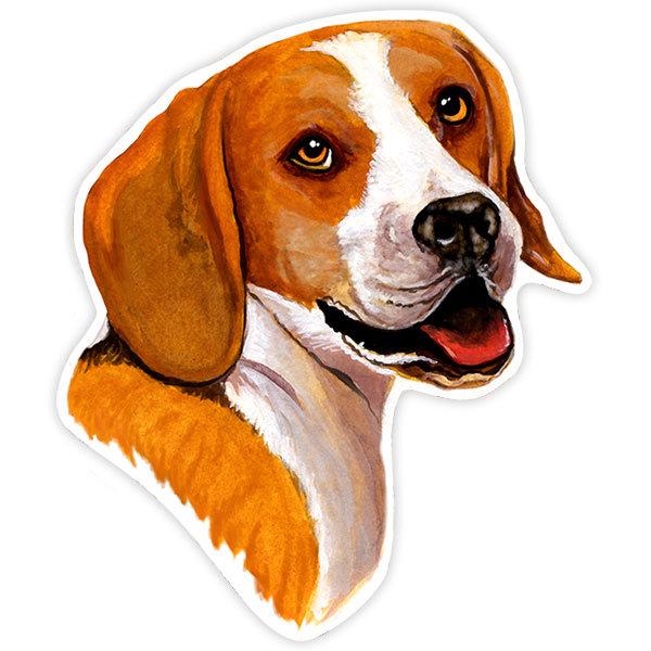 Pegatinas: Beagle