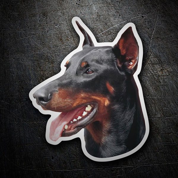 Pegatinas: Doberman