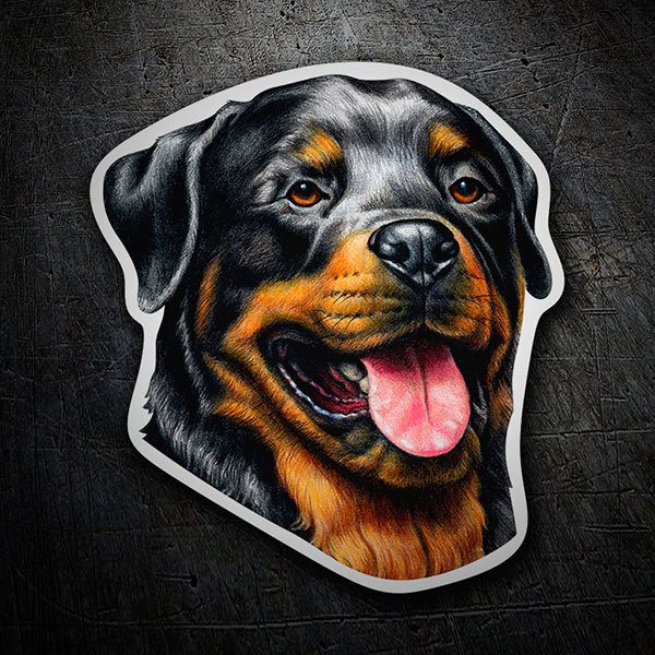 Pegatinas: Rottweiler