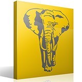 Vinilos Decorativos: Elefante