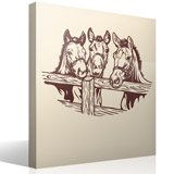 Vinilos Decorativos: Tres caballos 3