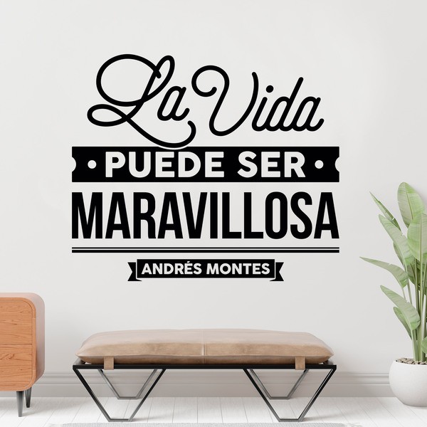 Vinilos Decorativos: La vida puede ser maravillosa - Andrés Montes