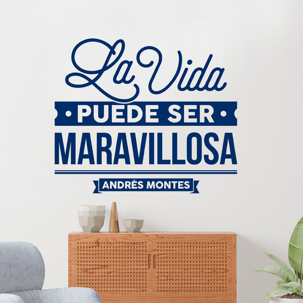 Vinilos Decorativos: La vida puede ser maravillosa - Andrés Montes