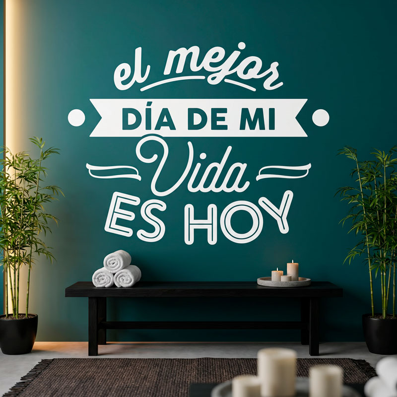 El mejor d&iacute;a de mi vida es hoy 6/11