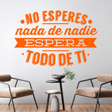 Vinilos Decorativos: No esperes nada de nadie 2