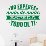 Vinilos Decorativos: No esperes nada de nadie 4