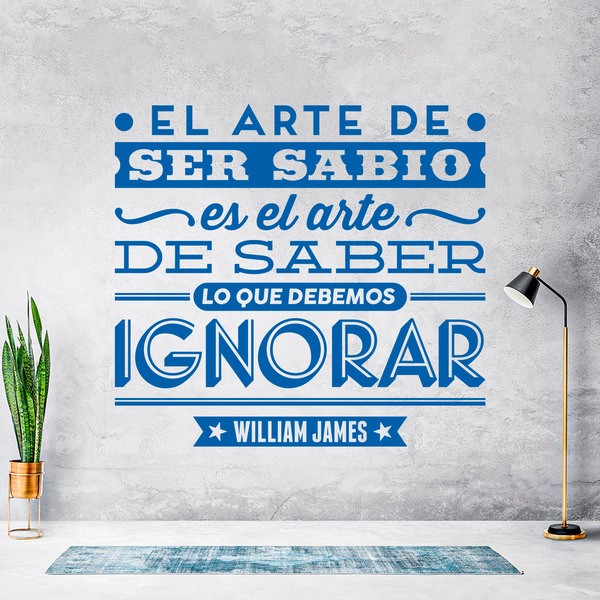 Vinilos Decorativos: El arte de ser sabio - William James