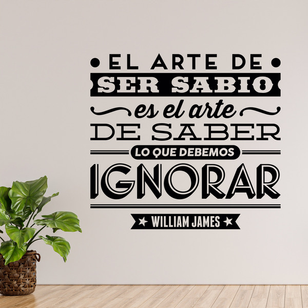 Vinilos Decorativos: El arte de ser sabio - William James