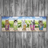 Vinilos Decorativos: Poster adhesivo de 5 gatitos 3