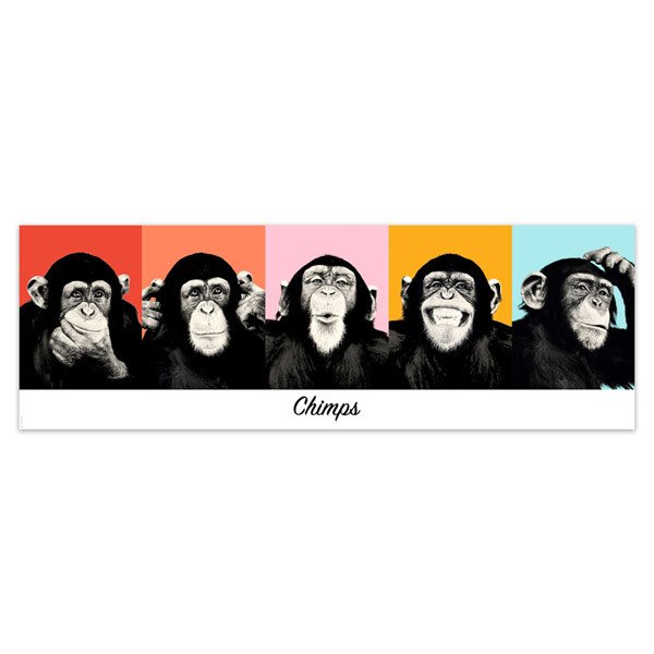 Vinilos Decorativos: Poster adhesivo de 5 Chimpancés