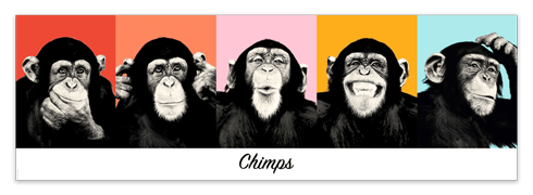 Vinilos Decorativos: Poster adhesivo de 5 Chimpancés 0