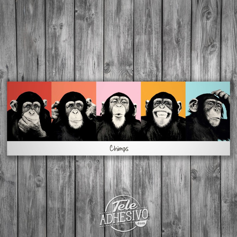 Vinilos Decorativos: Poster adhesivo de 5 Chimpancés