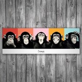 Vinilos Decorativos: Poster adhesivo de 5 Chimpancés 3