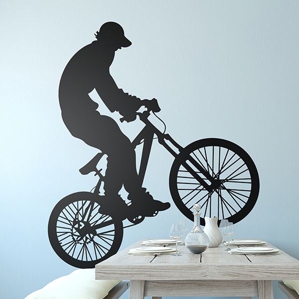 Vinilos Decorativos: BMX