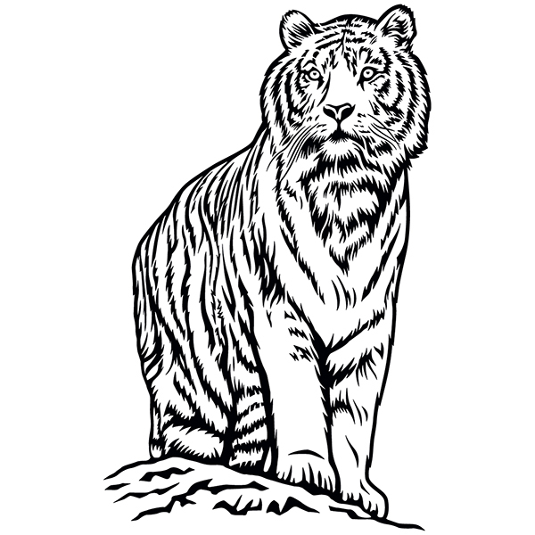 Vinilos Decorativos: Tigre de Bengala