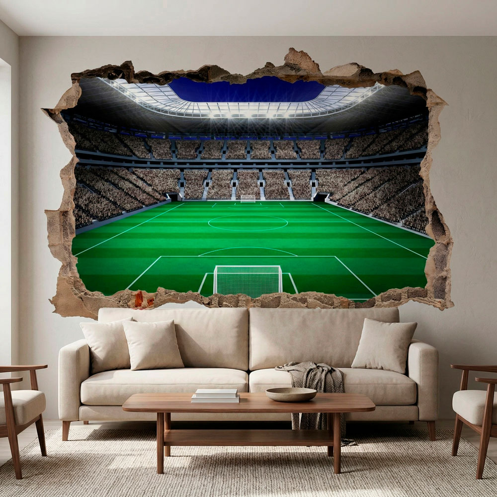 Campo de f&uacute;tbol 11