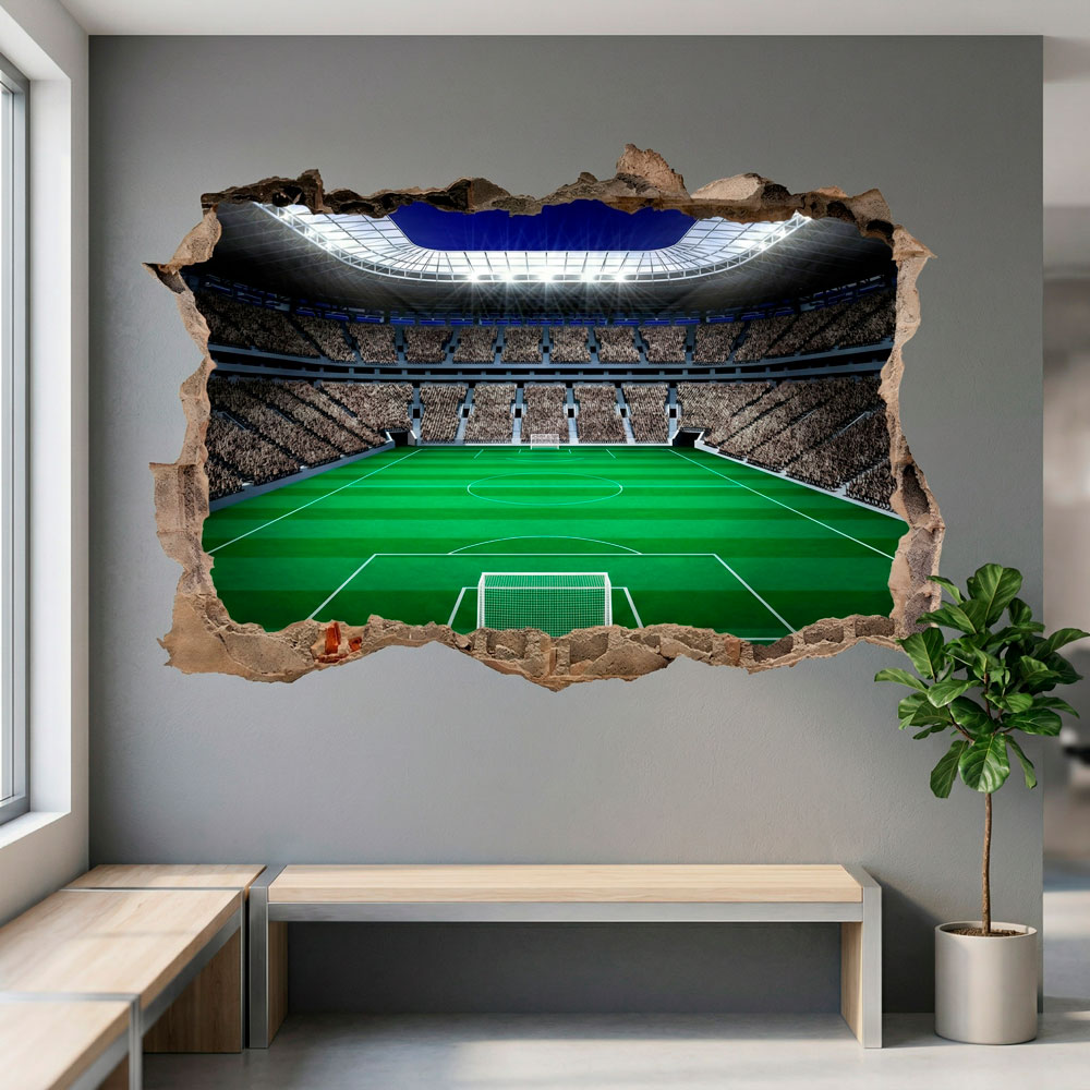 Campo de f&uacute;tbol 13