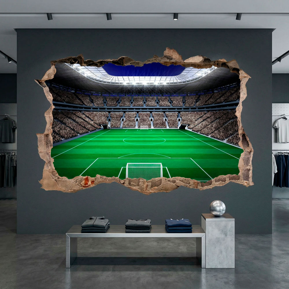 Campo de f&uacute;tbol 14