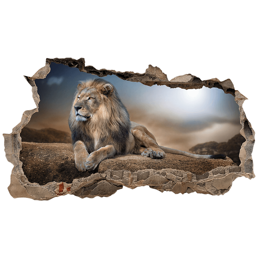 Vinilos Decorativos: Agujero de Muro León sobre la Roca