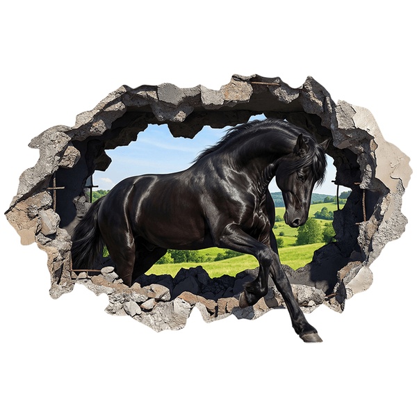 Vinilos Decorativos: Agujero de Muro Caballo Negro en el Campo