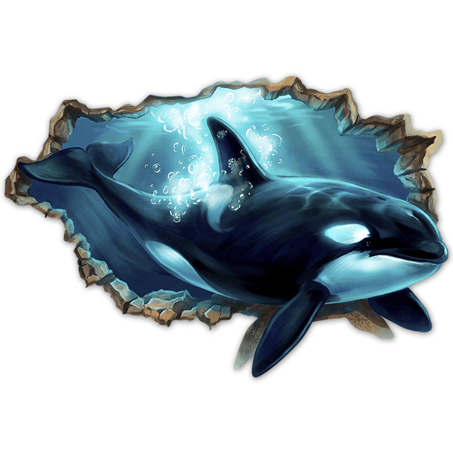 Vinilos Decorativos: Agujero de Muro Orca Gigante