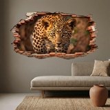 Vinilos Decorativos: Agujero de Muro Leopardo Cachorro 4