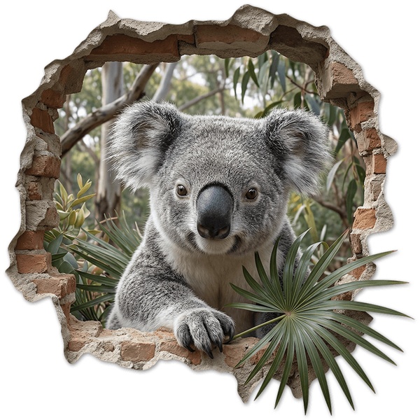 Vinilos Decorativos: Agujero de Muro Koala en el Eucalipto