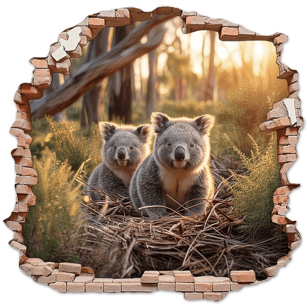Vinilos Decorativos: Agujero de Muro Koalas Bosque