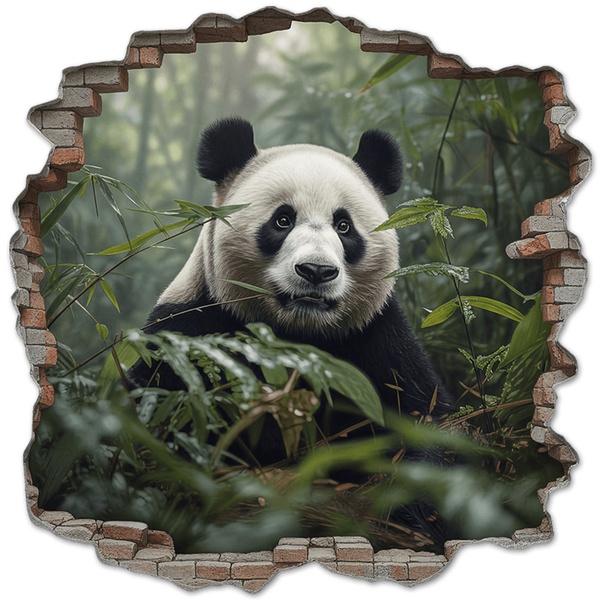 Vinilos Decorativos: Agujero de Muro Oso Panda