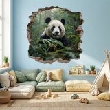 Vinilos Decorativos: Agujero de Muro Oso Panda 5