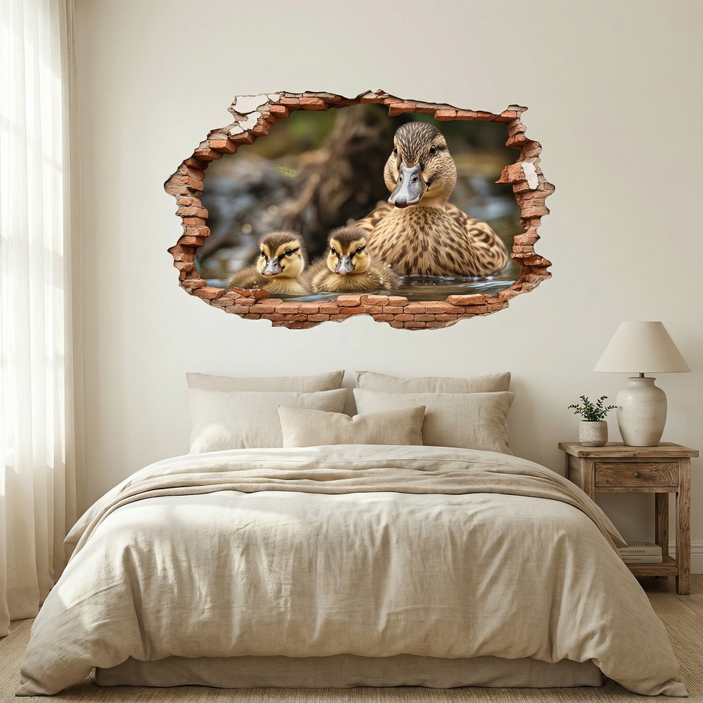 Vinilos Decorativos: Agujero de Muro Patitos