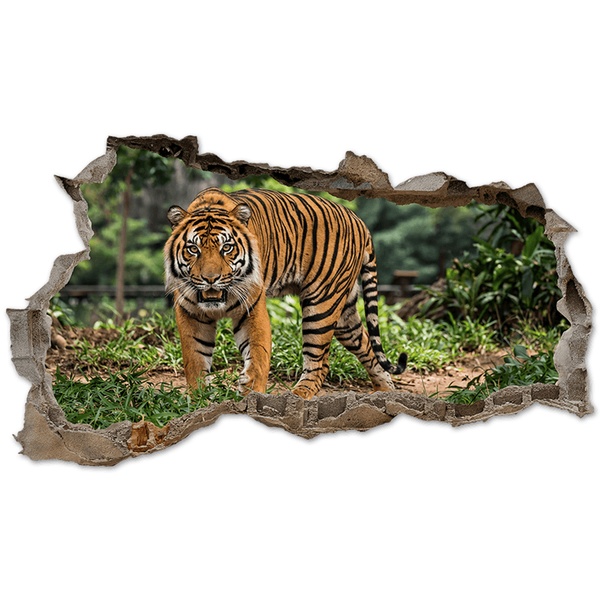 Vinilos Decorativos: Agujero de Muro Tigre de Bengala en la Selva