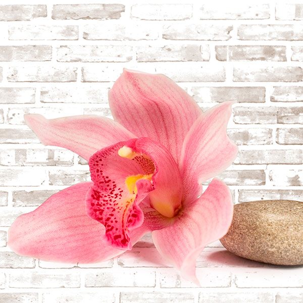 Vinilos Decorativos: Ramo de orquídeas
