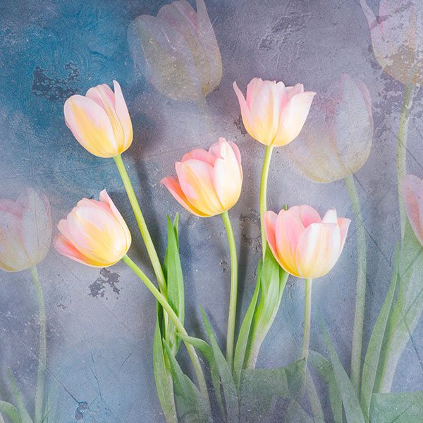 Vinilos Decorativos: Tulipanes pintados