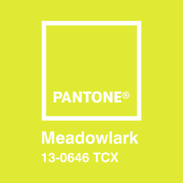 Vinilos Decorativos: Pantone Meadowlark