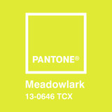 Vinilos Decorativos: Pantone Meadowlark 3