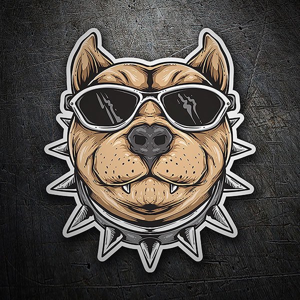 Pegatinas: Pitbull Cool