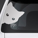 Pegatinas: Gato Curioso 3