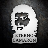 Pegatinas: Eterno Camarón 3
