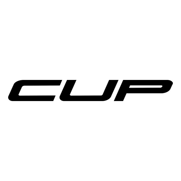 Pegatinas: Renault Clio Cup