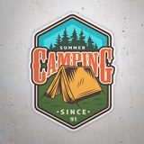 Pegatinas: Camping Summer 3