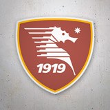 Pegatinas: US Salernitana 3