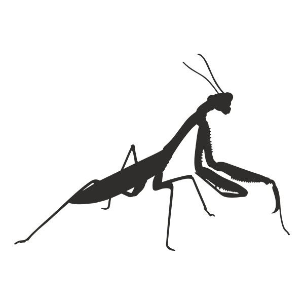 Pegatinas: Mantis