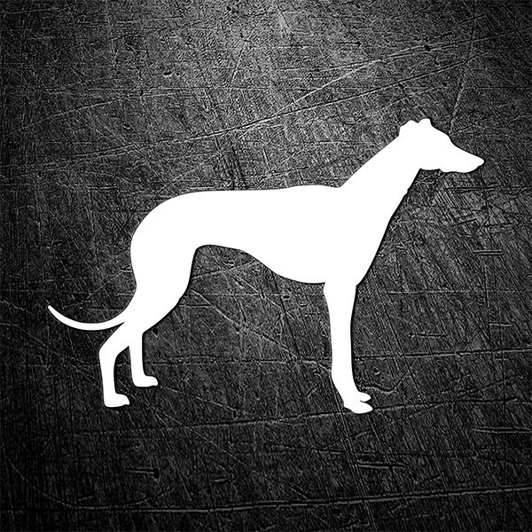 Pegatinas: Perro Galgo Espa&ntilde;ol en Silhouette