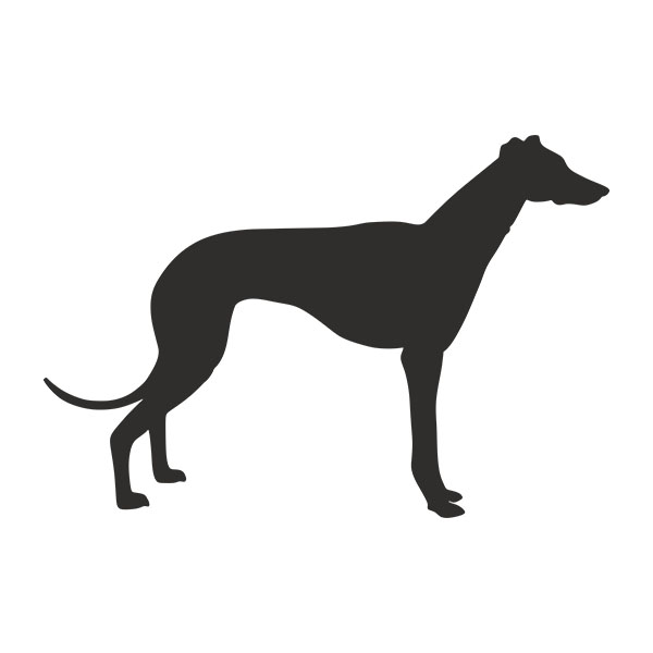 Pegatinas: Perro Galgo Espa&ntilde;ol en Silhouette