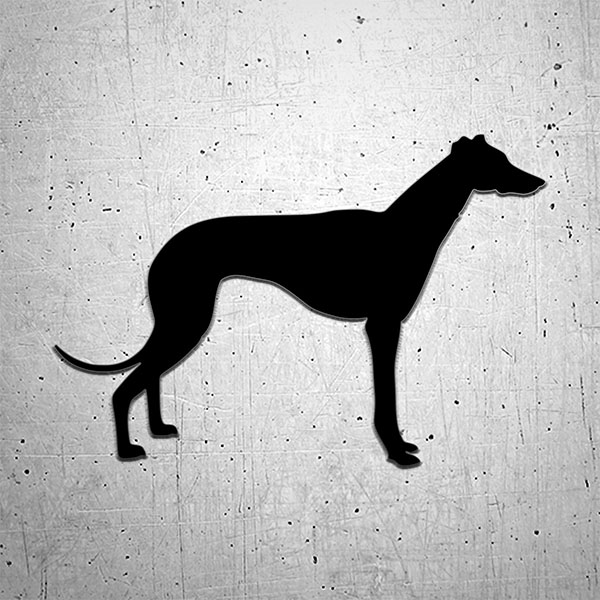 Pegatinas: Perro Galgo Espa&ntilde;ol en Silhouette
