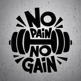 Pegatinas: No pain no gain 2