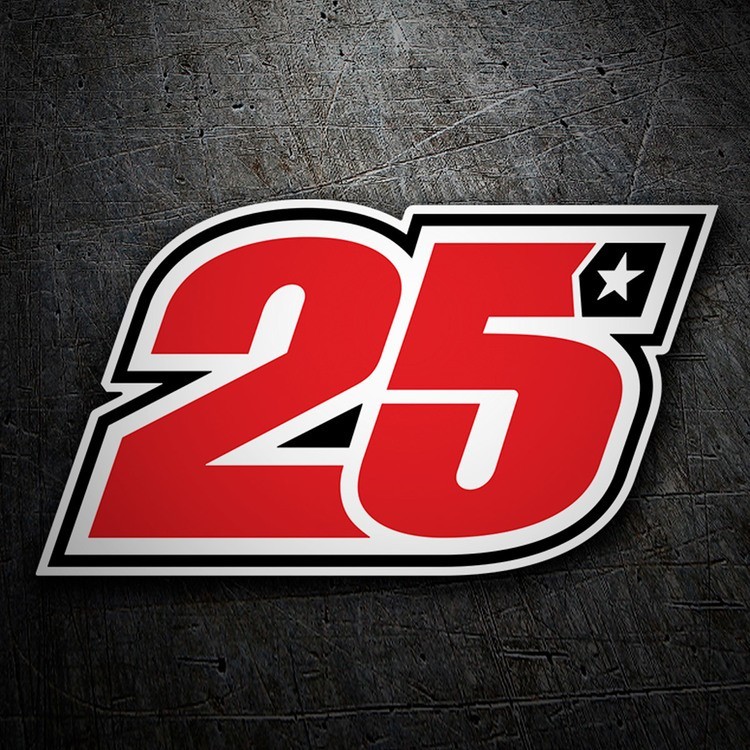 Pegatinas: Maverick 25 GP